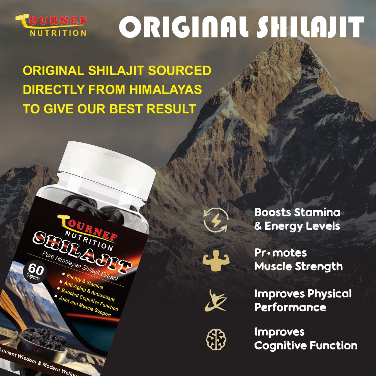 Shilajit capsule manufacturers in india