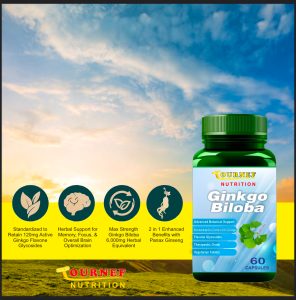 Ginkgo biloba